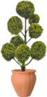 Zypressen "Castlewellan Gold" von GROW by OBI für 49,99 € bei OBI im Angebot Zypressen "Castlewellan Gold" von GROW by OBI im aktuellen OBI Prospekt