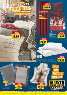 Teppich im Sconto SB Prospekt "HO HO HOTTE PREISE" mit 4 Seiten (Paderborn)
