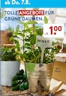 Pflanztopf bei ALDI SÜD im Petersberg Prospekt für 1,00 €