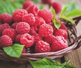 Netto Marken-Discount Untermeitingen - Himbeeren Angebot im Prospekt Himbeeren bei Netto Marken-Discount im Untermeitingen Prospekt für 1,99 €
