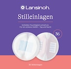 Stilleinlagen von Lansinoh im aktuellen budni Prospekt