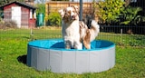 Hundepool Angebote von Zooroyal bei Penny-Markt Bautzen für 12,99 €