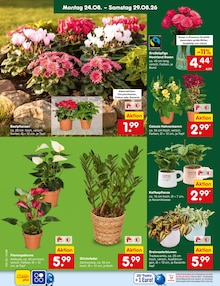 Mikrowelle im aktuellen Netto Marken-Discount Prospekt (Mönchengladbach) Mikrowelle im Netto Marken-Discount Prospekt "Aktuelle Angebote" mit 72 Seiten (Mönchengladbach)