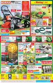 Gartendeko im Norma Prospekt in Regensburg Aktueller Norma Prospekt mit Gartendeko, "Mehr fürs Geld", Seite 3