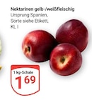 Nektarinen gelb-/weißfleischig bei GLOBUS im Prospekt "" für 1,69 €