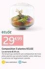 Promo Composition 3 plantes à 29,99 € dans le catalogue Jardiland à Sainte-Marie