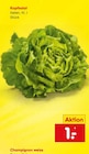 Aktuelles Kopfsalat Angebot bei Netto Marken-Discount in Duisburg ab 1,00 €