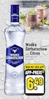 Citron Angebote von Wodka Gorbatschow bei Trinkgut Worms für 6,49 €