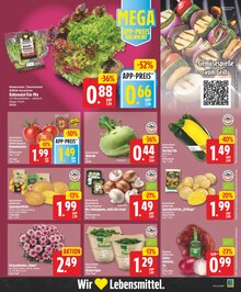 Tomaten im aktuellen EDEKA Prospekt (Berlin) Tomaten im EDEKA Prospekt "Aktuelle Angebote" mit 27 Seiten (Berlin)