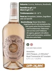 2023 Pasqua „11 Minutes“ Rosé Trevenezie IGT trocken bei E center im Tübingen Prospekt für 16,99 €
