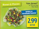 Tulpen Karneval Angebote bei diska Chemnitz für 2,99 €