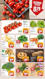 Dekoration im REWE Prospekt in Sankt Augustin Aktueller REWE Prospekt mit Dekoration, "Dein Markt", Seite 11