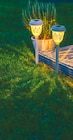 Garden Dream Solar-Gartenstecker von Netto Eigenmarke für 4,99 € bei Netto mit dem Scottie im Angebot Garden Dream Solar-Gartenstecker von Netto Eigenmarke im aktuellen Netto mit dem Scottie Prospekt