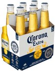 Corona Mexican Beer im Angebot bei REWE in Düsseldorf Corona Mexican Beer Angebote bei REWE Düsseldorf für 10,00 €