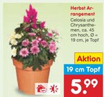 Aktuelles Herbst Arrangement Angebot bei Netto Marken-Discount in Nürnberg ab 5,99 €