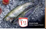 Aktuelles Frische Forelle Angebot bei GLOBUS in Jena ab 1,11 €
