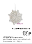 Weihnachtsstern im Angebot bei JYSK in Soest Weihnachtsstern Angebote von KRYOLIT bei JYSK Soest für 10,00 €