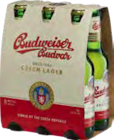 Aktuelle Budweiser Angebote bei Getränkewelt HSE in Bochum Aktuelles Original Czech Lager Angebot bei Getränkewelt HSE in Bochum ab 5,49 €