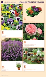 Promos Fleurs d'extérieur dans le catalogue "AIMEZ VOTRE JARDIN" de Intermarché Super à la page 2 Promos Fleurs d'extérieur dans le catalogue "AIMEZ VOTRE JARDIN" de Intermarché Super à la page 2