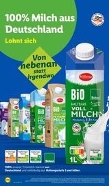 Ähnliche Federweißer Angebote im Prospekt "LIDL LOHNT SICH" von Lidl in Falkensee Ähnliche Angebote wie Federweißer im Prospekt "LIDL LOHNT SICH" auf Seite 16 von Lidl in Falkensee