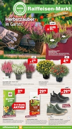 Raiffeisenmarkt Prospekt für Grasberg mit 8 Seiten Raiffeisenmarkt Prospekt für Grasberg: "Herbstzauber im Garten.", 8 Seiten, 05.09.2026 - 12.09.2026