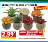 Succulente ou rose artificielle en promo chez Norma Colmar à 2,99 €