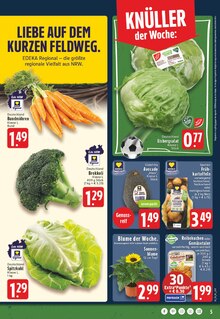 Pflanzen im aktuellen E center Prospekt (Moers) Pflanzen im E center Prospekt "Aktuelle Angebote" mit 29 Seiten (Moers)