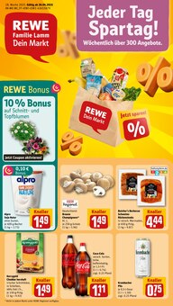 REWE Prospekt "Dein Markt" mit  Seiten (Netphen)