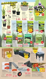 Rasendünger Angebot & Preis im aktuellen Jawoll Prospekt Rasendünger Angebot im aktuellen Jawoll Prospekt auf Seite 7