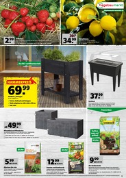 Hagebaumarkt Gartenerde im Prospekt Hagebaumarkt Gartenerde im Prospekt
