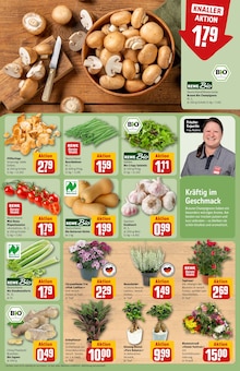 Kürbis im aktuellen REWE Prospekt (Frankfurt (Main)) Kürbis im REWE Prospekt "Dein Markt" mit 30 Seiten (Frankfurt (Main))