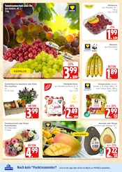 Aktueller Marktkauf Prospekt mit Farbe, "Top Angebote", Seite 6