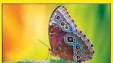 Téléviseur LED UHD 4K 43" - TECHNICAL - Hyper U à Fréjus Téléviseur LED UHD 4K 43" - TECHNICAL en promo chez Hyper U Fréjus à 199,00 €