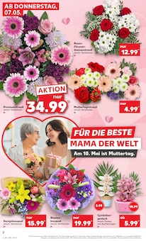 Chrysantheme im Kaufland Prospekt "Aktuelle Angebote" mit 58 Seiten (Duisburg)