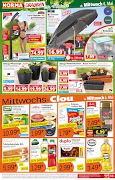 Pflanzen im Norma Prospekt Mehr fürs Geld auf S. 13