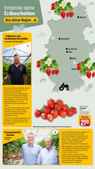 Erdbeeren im aktuellen REWE Prospekt (Neuss) Erdbeeren im REWE Prospekt "Dein Markt" mit 24 Seiten (Neuss)