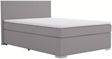 Boxspringbett im POCO Prospekt Boxspringbett im aktuellen POCO Prospekt für 499,00 €
