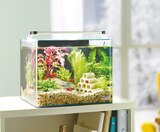 Maxi Zoo - Kit aquarium Nanocube : offre du catalogue Promo Kit aquarium Nanocube à 99,00 € dans le catalogue Maxi Zoo "Plongez dans un monde magique"