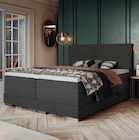 Aktuelle Bett Angebote bei Die Möbelfundgrube in Trier Aktuelles Boxspringbett Mandewilla Angebot bei Die Möbelfundgrube in Trier ab 999,99 €