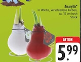 Angebot im EDEKA Naundorf Prospekt EDEKA Naundorf Prospekt mit im Angebot für 5,99 €