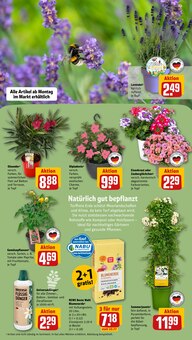 Blumenerde im REWE Prospekt "Dein Markt" mit 30 Seiten (Stuttgart)