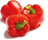 Paprika rot im aktuellen Netto mit dem Scottie Prospekt