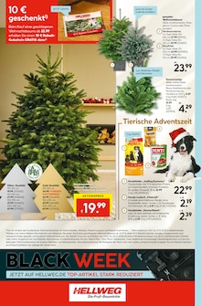 Pflanzen im Hellweg Prospekt "Die Profi-Baumärkte" mit 24 Seiten (Recklinghausen)