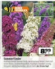 Angebot im OBI Fulda Prospekt OBI Fulda Prospekt mit im Angebot für 8,99 €
