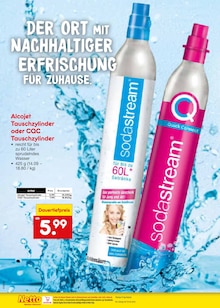 Fasching Angebot im aktuellen Netto Marken-Discount Prospekt auf Seite 36