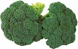 Broccoli bei EDEKA im Münster Prospekt für 1,11 €