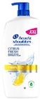 Shampoo XXL im Angebot bei Kaufland in Langenhagen Shampoo XXL Angebote von Head & Shoulders bei Kaufland Langenhagen für 7,99 €