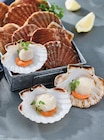Coquilles saint jacques dans le catalogue Intermarché Super