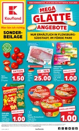 Kaufland Prospekt für Haselund mit 8 Seiten Kaufland Prospekt für Haselund: "Sonderbeilage", 8 Seiten, 09.01.2025 - 15.01.2025