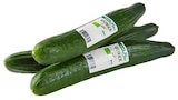 Bio Salatgurke Angebote von REWE Bio bei REWE Salzgitter für 0,79 €